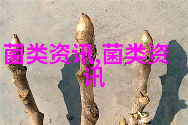 漳县滑子菇试种获丰收