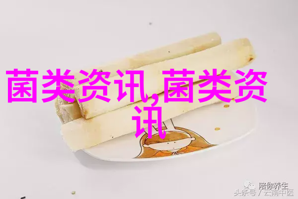 湖北竹山小香菇撑起致富伞